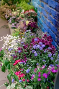 Eventfotografie Spirit Women Zentrum Frankfurt