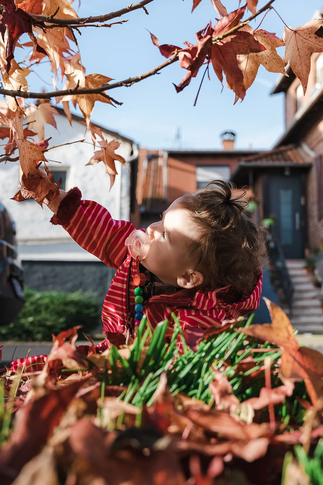 Familienfotografie Hanau